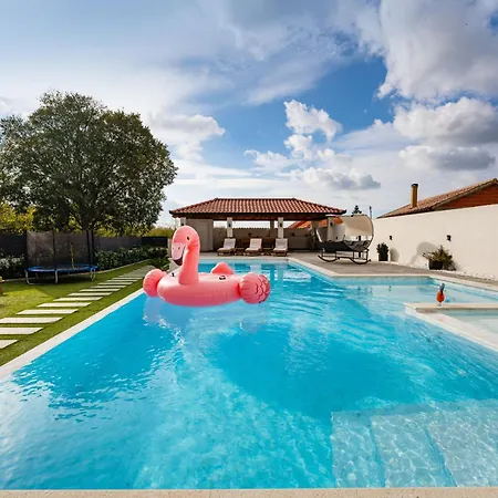 My Dalmatia - Galleli With Private Pool アパート *