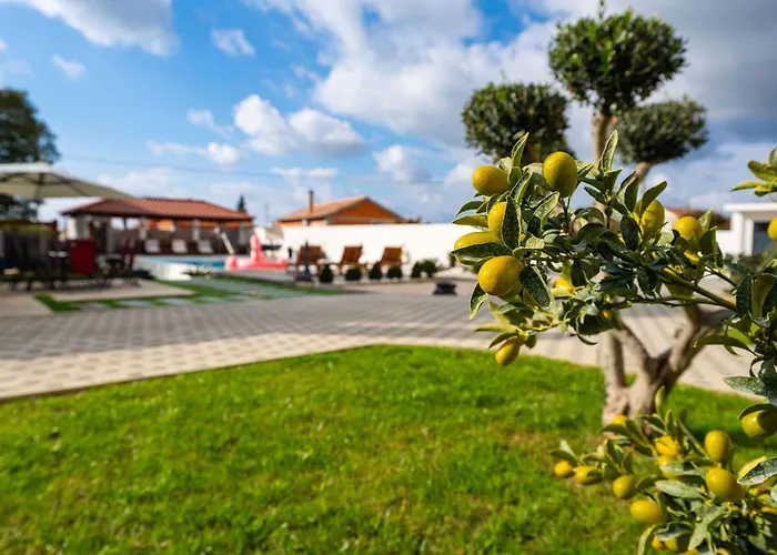 My Dalmatia - Galleli With Private Pool アパート Galovac