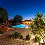 公寓 My Dalmatia - Galleli With Private Pool *
