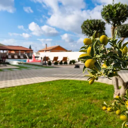 My Dalmatia - Galleli With Private Pool アパート Galovac